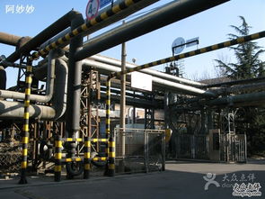 798艺术区 工业管道的艺术新生与景区管理的现代实践