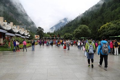 规范有序，视听盛宴 从观光车导览看九寨沟精细化景区管理