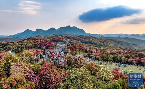 诗意中国丨春日上春山